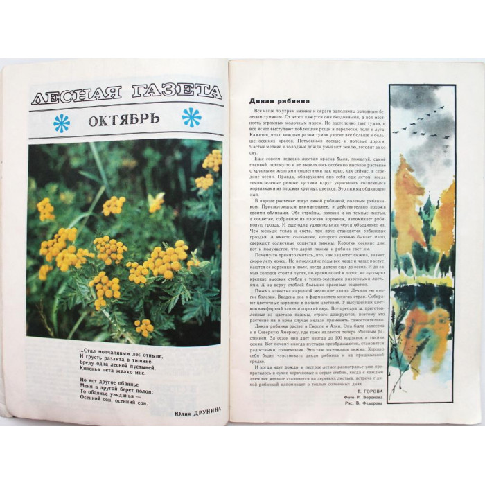 Журнал «ЮНЫЙ НАТУРАЛИСТ» №10, 1981