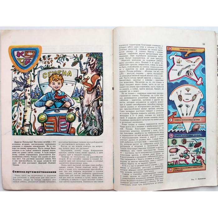 Журнал «ЮНЫЙ НАТУРАЛИСТ» №10, 1981