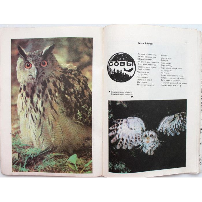 Журнал «ЮНЫЙ НАТУРАЛИСТ» №10, 1981