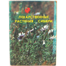 Б. Пятницкий - Основные лекарственные растения Сибири. Их приминение в народной медецине и в питании человека (Новосибирск, 1991)