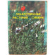 Б. Пятницкий - Основные лекарственные растения Сибири. Их приминение в народной медецине и в питании человека (Новосибирск, 1991)