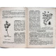 Б. Пятницкий - Основные лекарственные растения Сибири. Их приминение в народной медецине и в питании человека (Новосибирск, 1991)