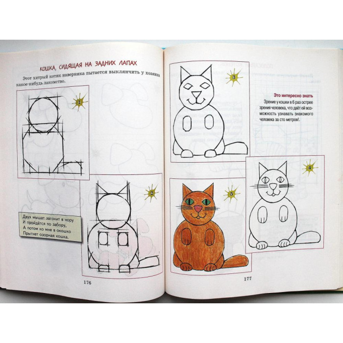 Г. Шалаева - Большая книга рисования для девочек (АСТ, 2009)
