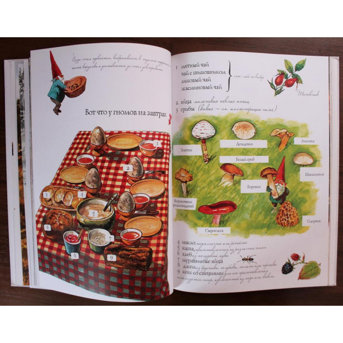 Вил Хёйген «ГНОМЫ». Энциклопедия (Рипол, 2013) Художник Р. Поортфлит