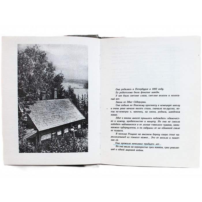 Э. Седергран - Возвращение домой. Стихи (Дет лит, 1991) Э. Седергран - Возвращение домой. Стихи (Дет лит, 1991)