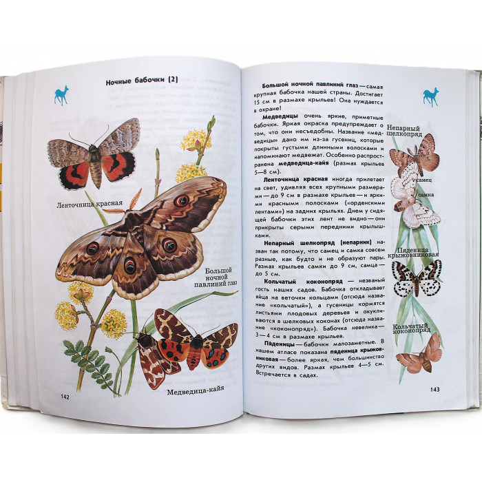 От земли до неба. Атлас-определитель