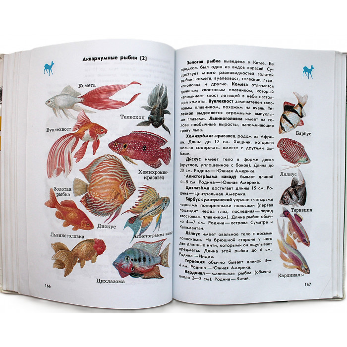 От земли до неба. Атлас-определитель