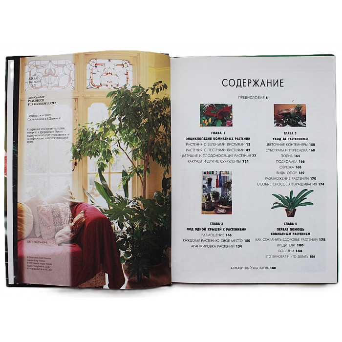 Д. Куртьер - Энциклопедия комнатного цветоводства