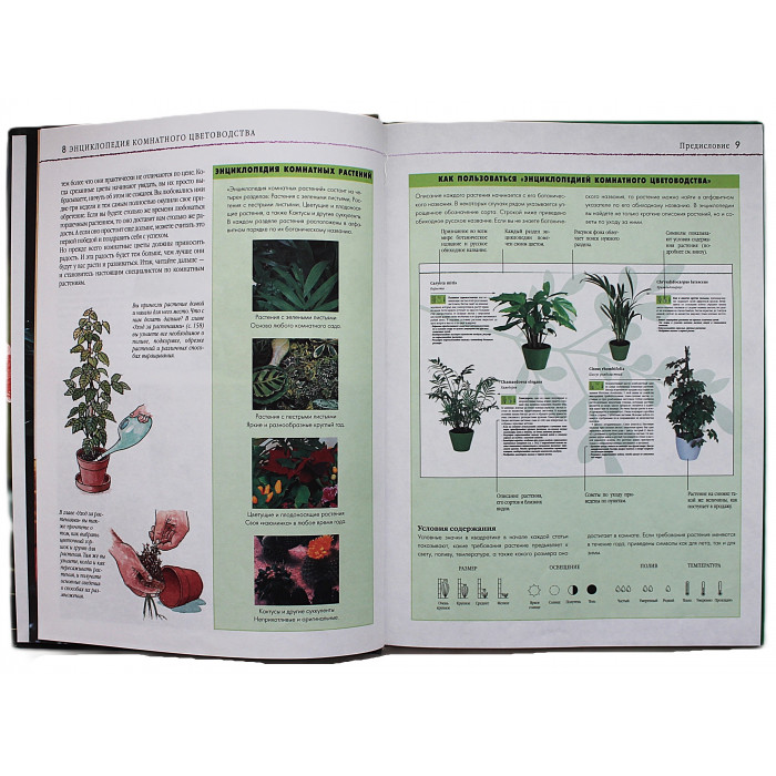Д. Куртьер - Энциклопедия комнатного цветоводства