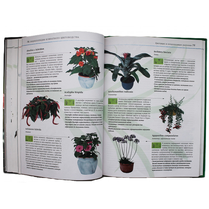 Д. Куртьер - Энциклопедия комнатного цветоводства