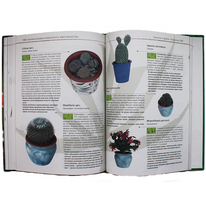 Д. Куртьер - Энциклопедия комнатного цветоводства