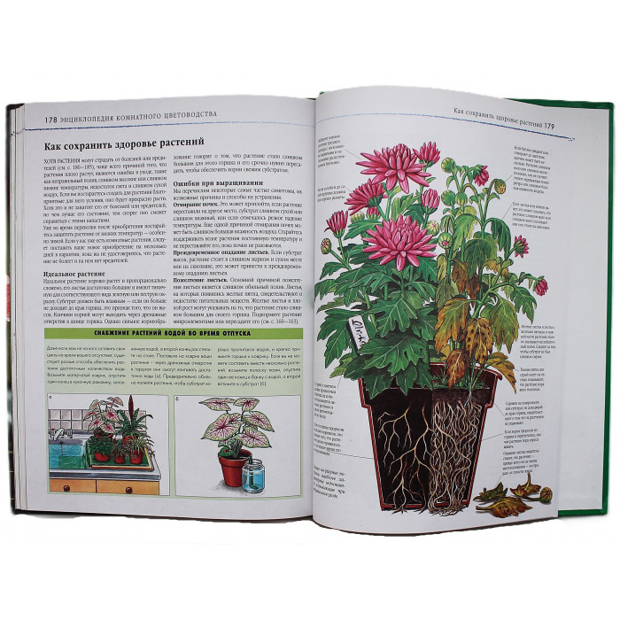 Д. Куртьер - Энциклопедия комнатного цветоводства