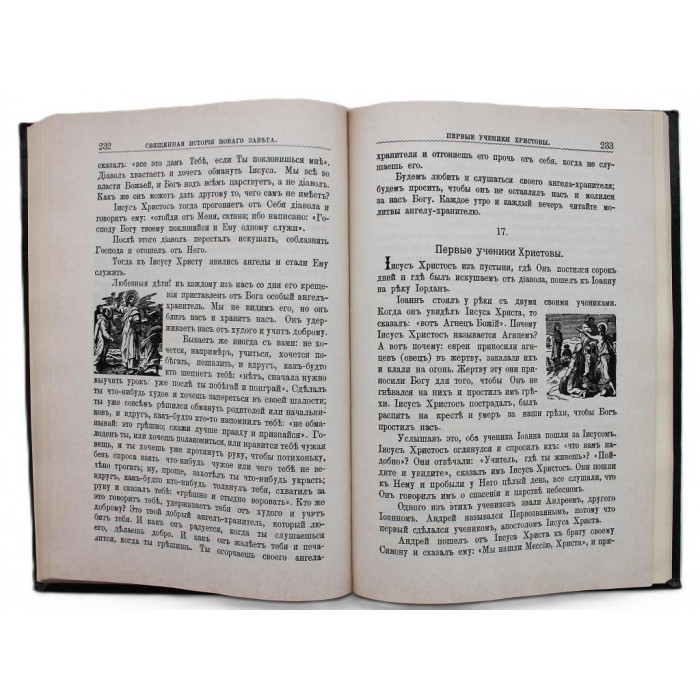 Библия для детей (Репринт 1896 года)