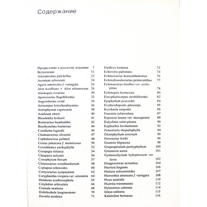 Э. Лэм, Б. Лэм - "Кактусы"