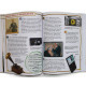 Изобретения. 100 фактов. Энциклопедия для детей