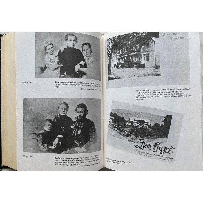 Швейцер Виктория Александровна. Быт и бытие  Марины Цветаевой. (1992 г.)