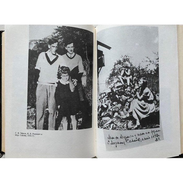 Швейцер Виктория Александровна. Быт и бытие  Марины Цветаевой. (1992 г.)