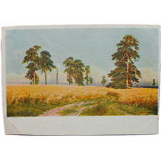 СССР почтовая открытка «РОЖЬ». Шишкин И.И. (Изд. ГТГ, 1930) Чистая. Оригинал. Посткроссинг