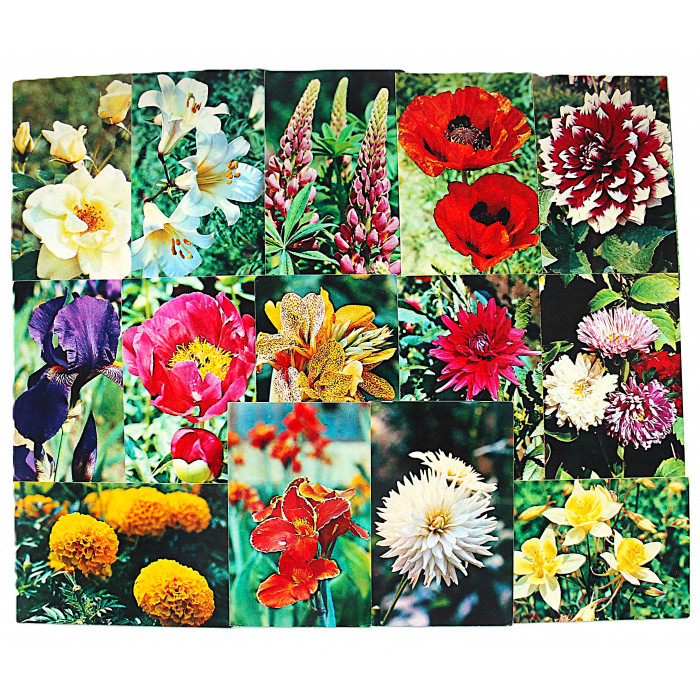 СССР комплект из 15 открыток «ЦВЕТЫ САДОВЫЕ» (Планета, 1972). Чистые. Посткроссинг