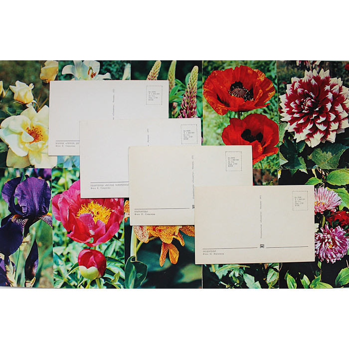 СССР комплект из 15 открыток «ЦВЕТЫ САДОВЫЕ» (Планета, 1972). Чистые. Посткроссинг