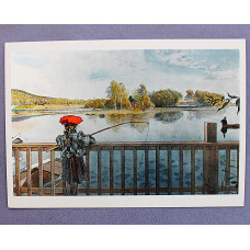 «ЛИСБЕТ РЫБАЧИТ». Карл Ларссон. Из серии «Дом в лучах солнца». Почтовая открытка 2011 года. Чистая. Посткроссинг