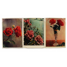 СССР комплект из 3 открыток «РОЗЫ» (Правда, 1957, 1960) Чистые