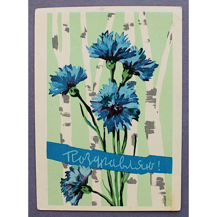 СССР почтовая открытка "Поздравляю!". Васильки (Изогиз, 1962) Перепеч (подписана)