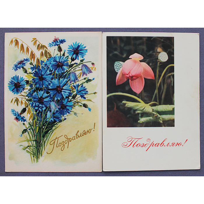 СССР пара почтовых открыток «ПОЗДРАВЛЯЮ!» (СХ, 1964-1965) Штеренберг, Мухин (подписаны)