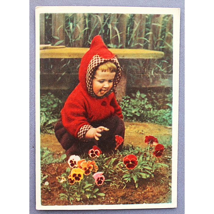 СССР почтовая открытка «АНЮТИНЫ ГЛАЗКИ» (Изогиз, 1963) Гиппенрейтер (подписана)