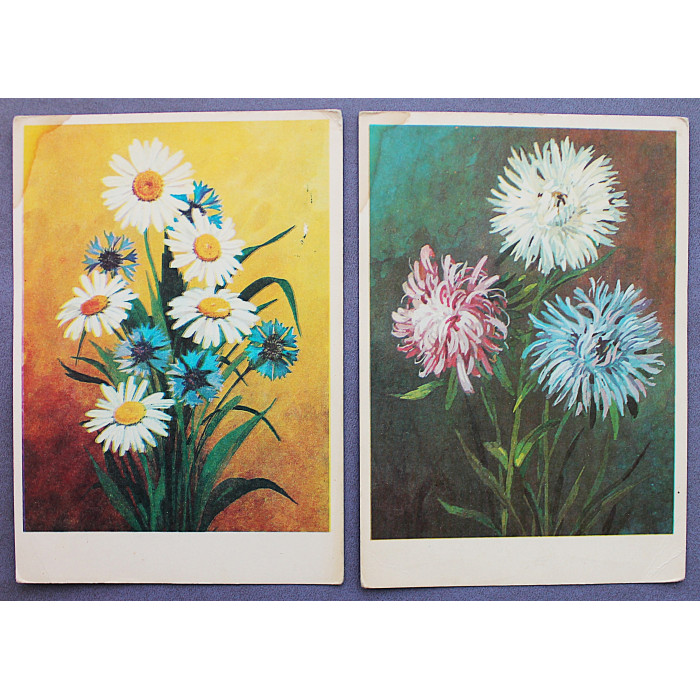 СССР пара почтовых открыток «ЦВЕТЫ». Астры. Ромашки и васильки (Союзпечать, 1976) Раховский. Чистые