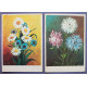 СССР пара почтовых открыток «ЦВЕТЫ». Астры. Ромашки и васильки (Союзпечать, 1976) Раховский. Чистые