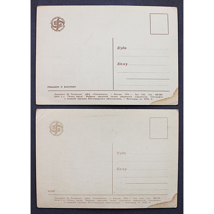 СССР пара почтовых открыток «ЦВЕТЫ». Астры. Ромашки и васильки (Союзпечать, 1976) Раховский. Чистые