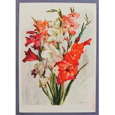 СССР почтовая открытка "ГЛАДИОЛУСЫ" (Художник РСФСР, 1961) Чарнецкая (подписана)