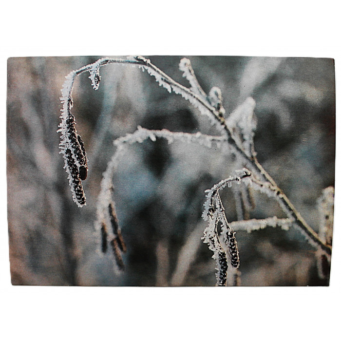 СССР почтовая открытка «ИНЕЙ» (Планета,1982) Чистая