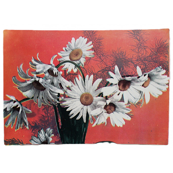 БОЛГАРИЯ открытка "Букет ромашек" (София, 1970-е годы) Подписана