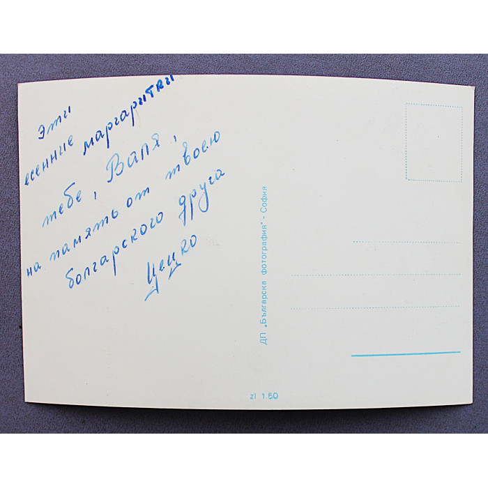 БОЛГАРИЯ открытка "Букет ромашек" (София, 1970-е годы) Подписана