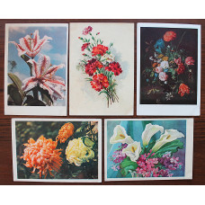 СССР комплект из 5 открыток "ЦВЕТЫ". Хризантемы. Лилии. Гвоздики (Изогиз, 1959-1962 гг.) Подписаны