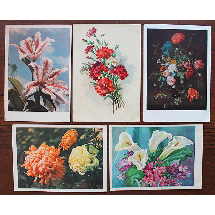 СССР комплект из 5 открыток "ЦВЕТЫ". Хризантемы. Лилии. Гвоздики (Изогиз, 1959-1962 гг.) Подписаны