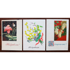 СССР комплект из 3 почтовых открыток «ПОЗДРАВЛЯЮ!». Весенние цветы (1958-1967 гг.) Подписаны