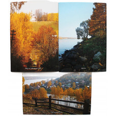 «ПЛЁС». Панорама Плёса. Вил на Соборную гору. Волга (комплект из 3 почтовых открыток) Новые