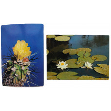 СССР пара почтовых открыток "ЦВЕТЫ". Кувшинка белая. Кактус (Мин связи, 1975-1985) Чистые