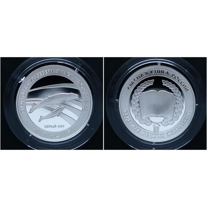 Россия Медаль Серый кит Красная книга СПМД Гознак / Ag - 925 - 15,55 гр.