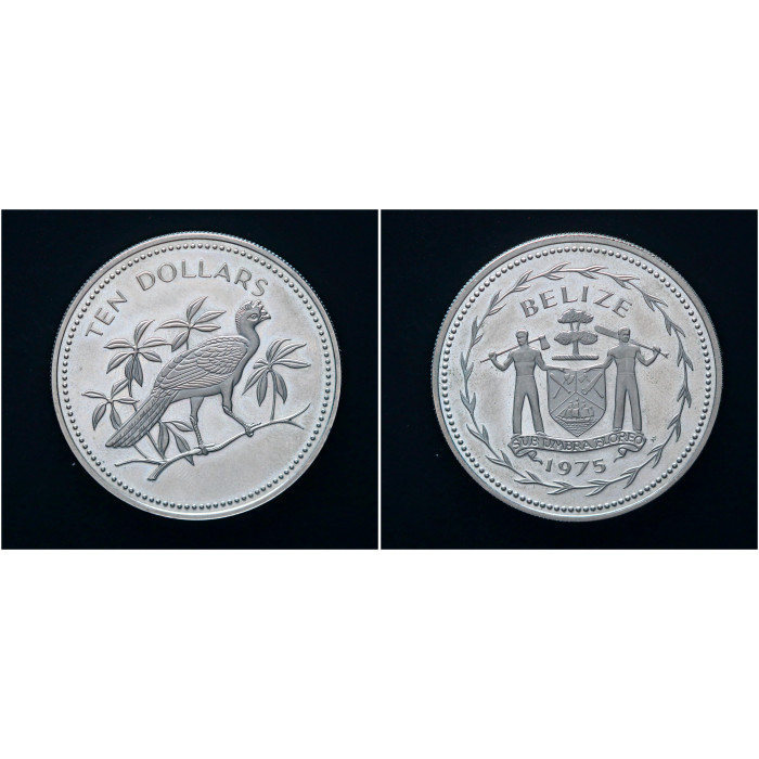 Белиз 10 Долларов 1975 год Большая Курага на ветке