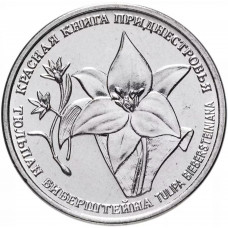 Приднестровье 1 рубль 2019 год UNC UC# 183 ПМР Красная книга - Тюльпан Биберштейна