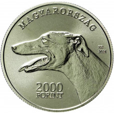 Венгрия 2000 форинтов 2021 год Венгерская борзая Proof UC# 280