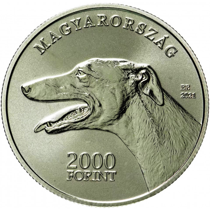 Венгрия 2000 форинтов 2021 год Венгерская борзая Proof UC# 280