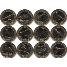 Турция 1 куруш полный набор монет 2019 года "Птицы Анатолии" (24 штуки), биметалл