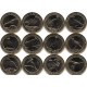 Турция 1 куруш полный набор монет 2019 года "Птицы Анатолии" (24 штуки), биметалл