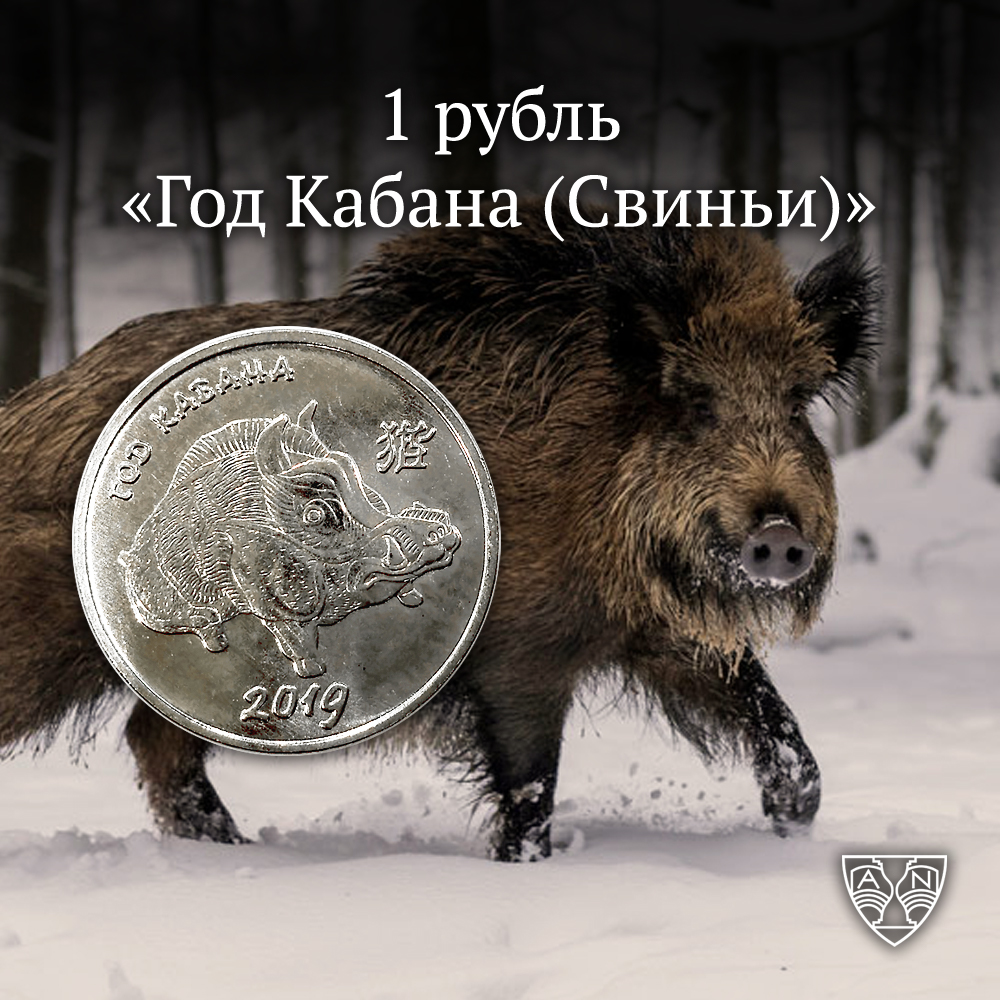 Картинки в год кабана