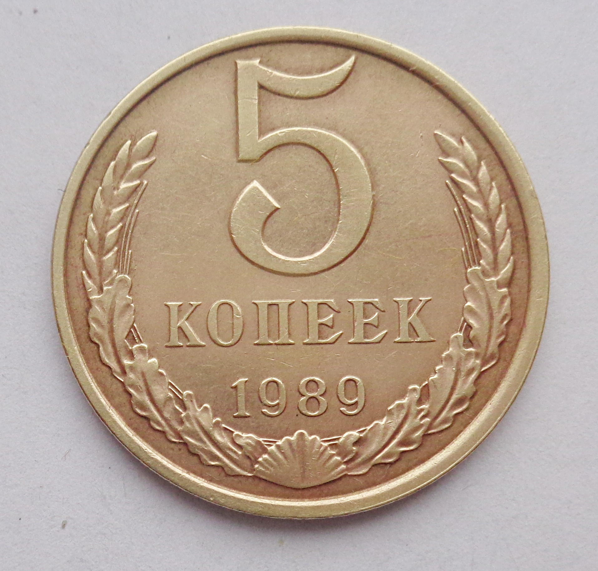 5 ссср. 5 Копеек 1989. 5 Копеек 1989 года. 5 Копеек 1989 из белого металла. Сколько стоит 5 копеек 1989 года.